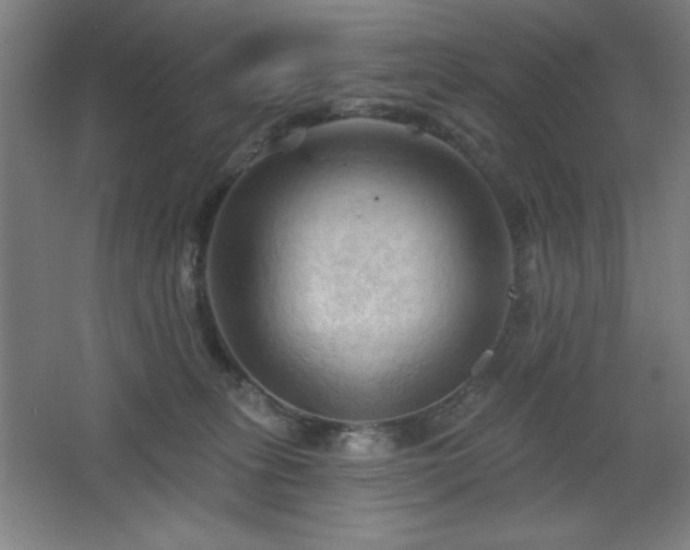 X0000068740275200604281147