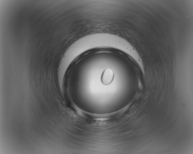 X0000068740276200604281147