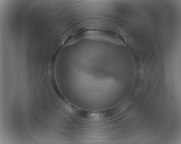 X0000068740277200604281147