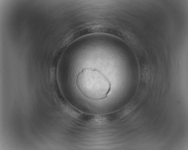 X0000068740278200604281147