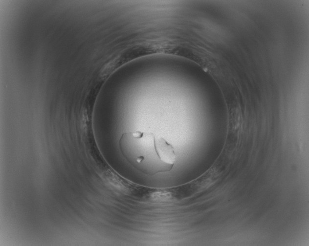 X0000068740279200604281147