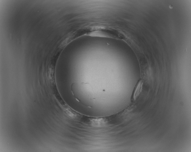 X0000068740281200604281147