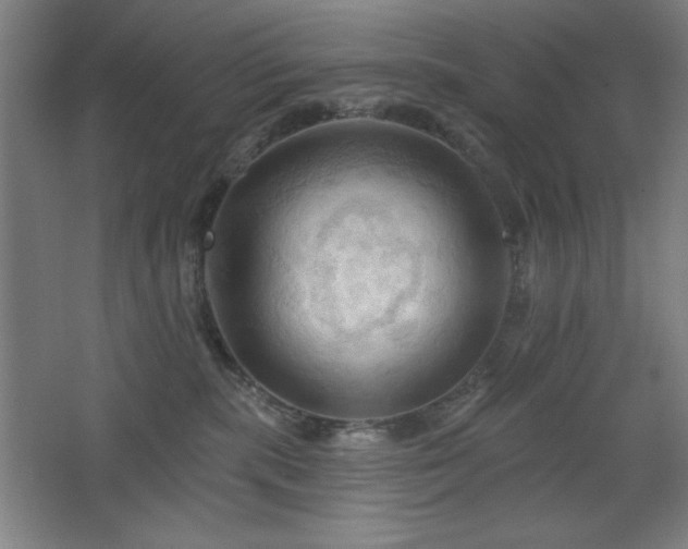 X0000068740283200604281147