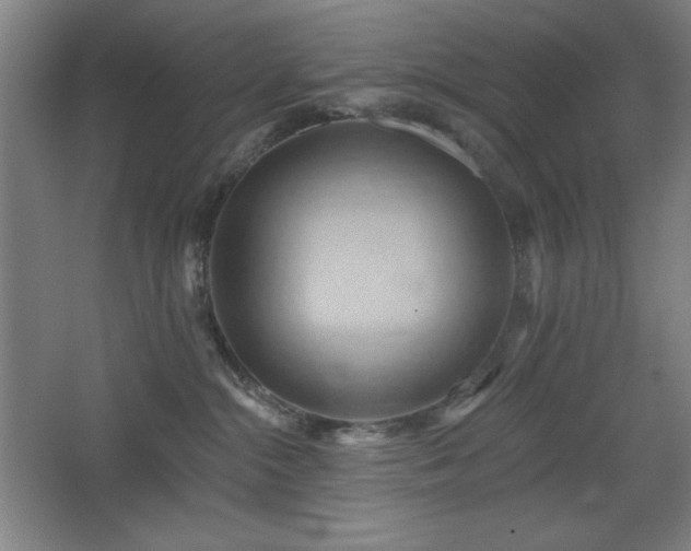 X0000068740284200604281147