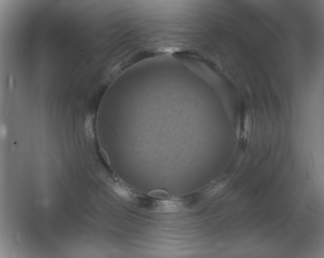 X0000068740286200604281147