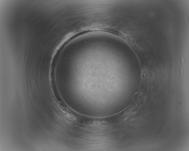 X0000068740292200604281147