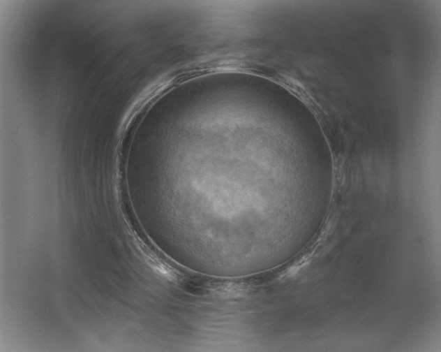 X0000068740293200604281147