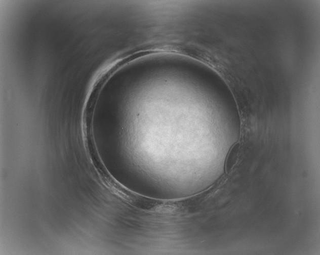 X0000068740294200604281147