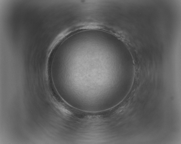 X0000068740296200604281147