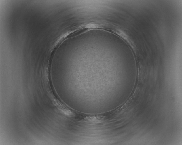 X0000068740297200604281147