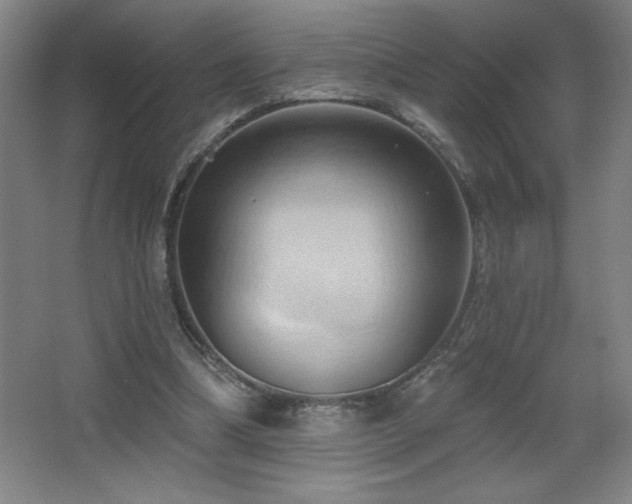 X0000068740298200604281147