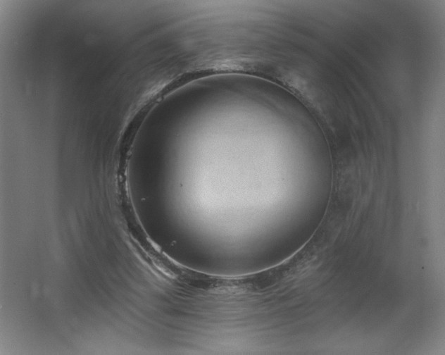 X0000068740299200604281147