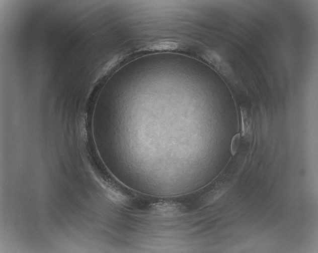 X0000068740300200604281147