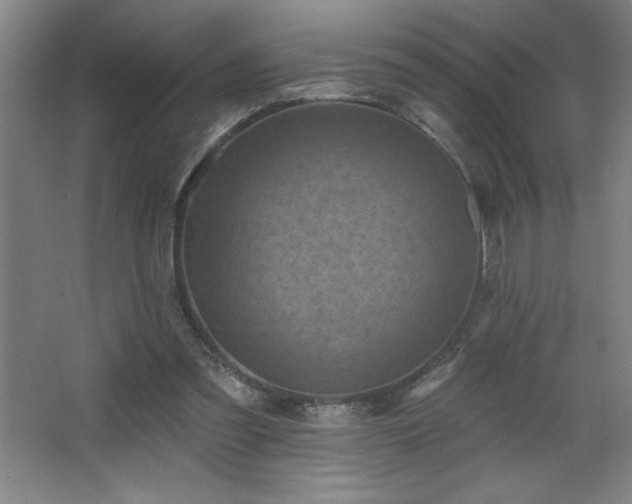 X0000068740301200604281146