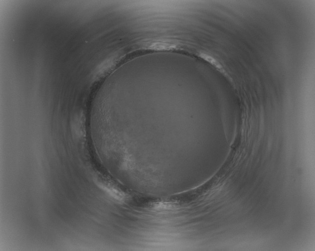 X0000068740303200604281146