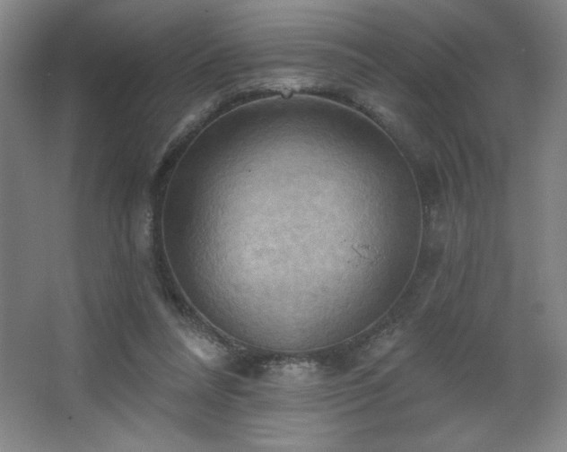 X0000068740304200604281146