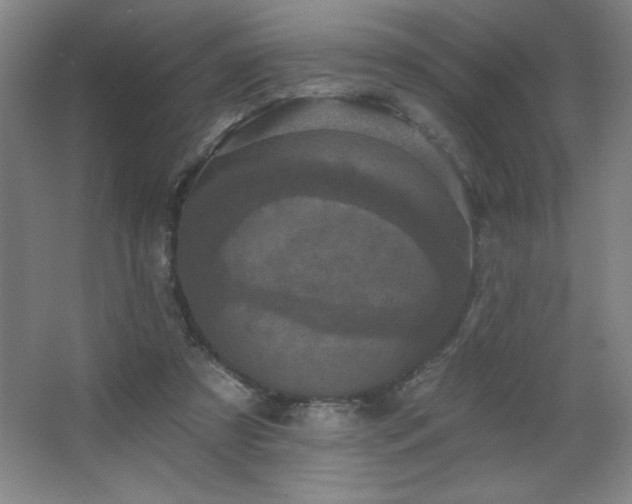 X0000068740305200604281146