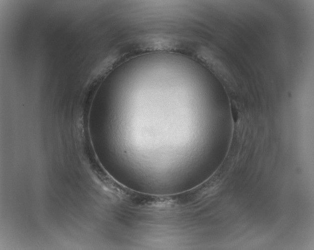 X0000068740306200604281146