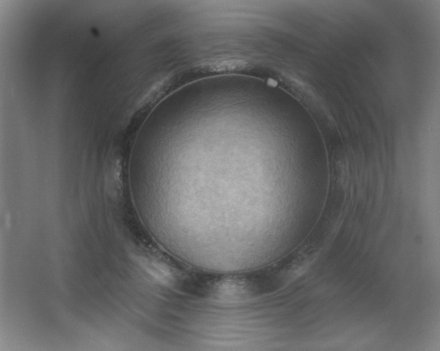 X0000068740308200604281146