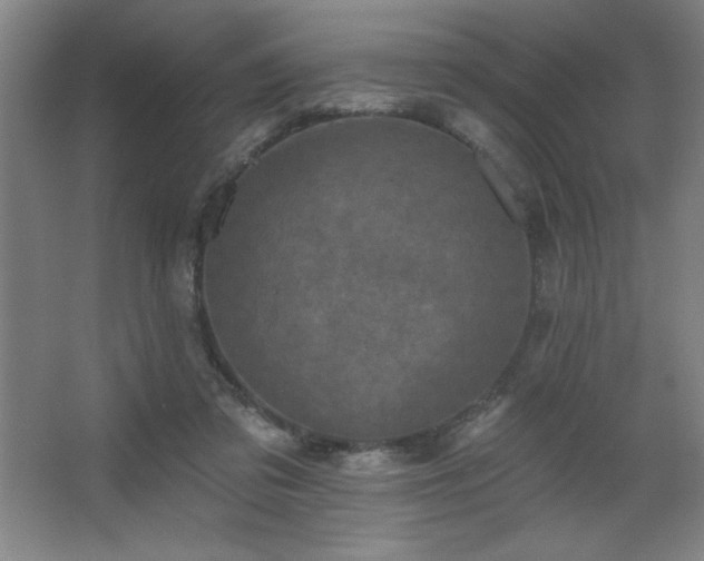 X0000068740309200604281146