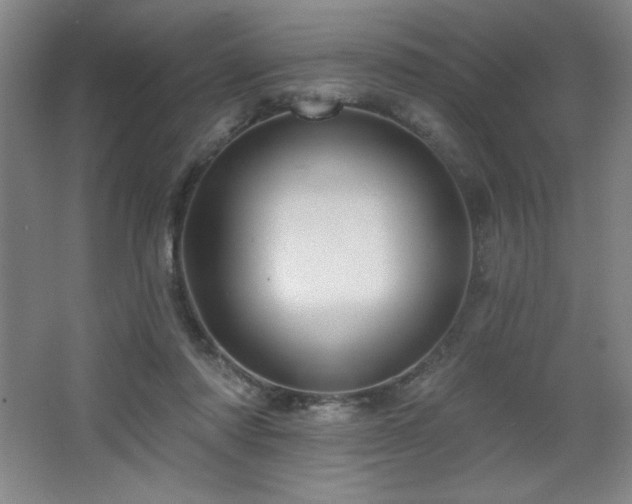 X0000068740310200604281146