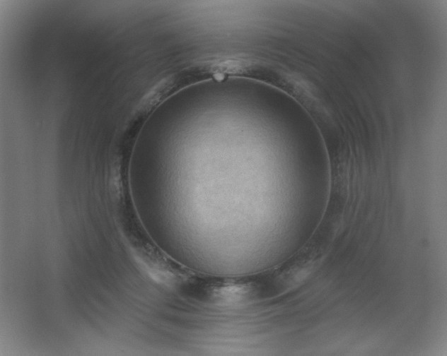 X0000068740312200604281146