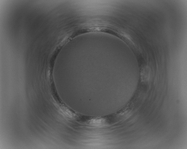 X0000068740314200604281146