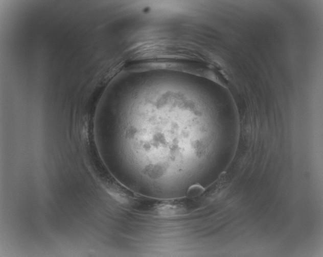 X0000068740315200604281146