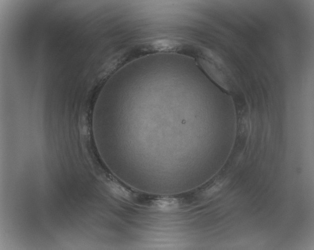 X0000068740317200604281146