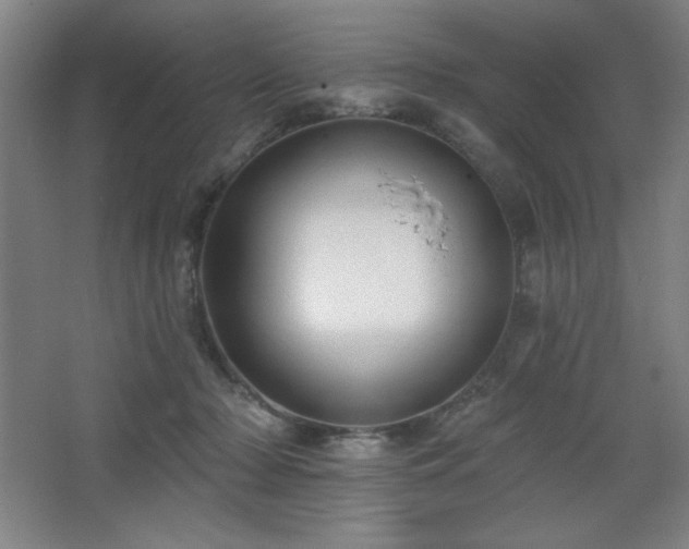 X0000068740318200604281146