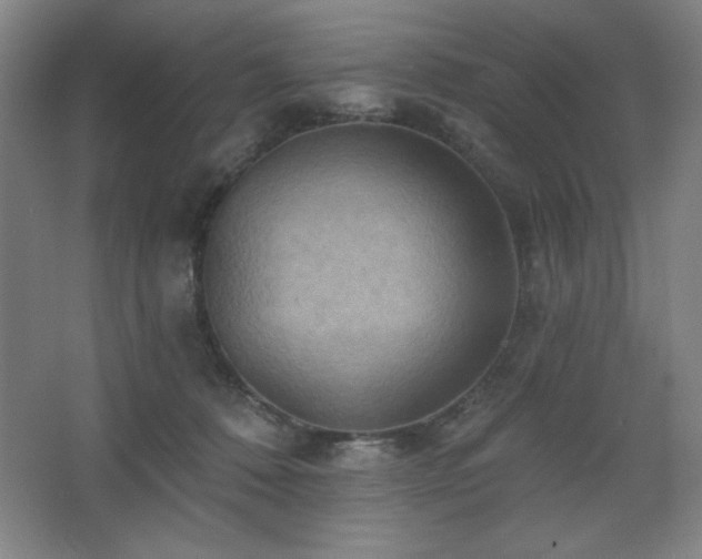 X0000068740320200604281146