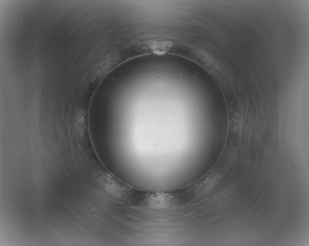 X0000068740321200604281146