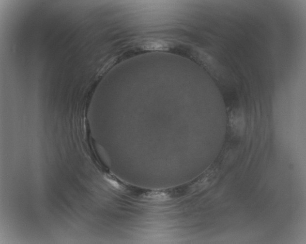 X0000068740322200604281146