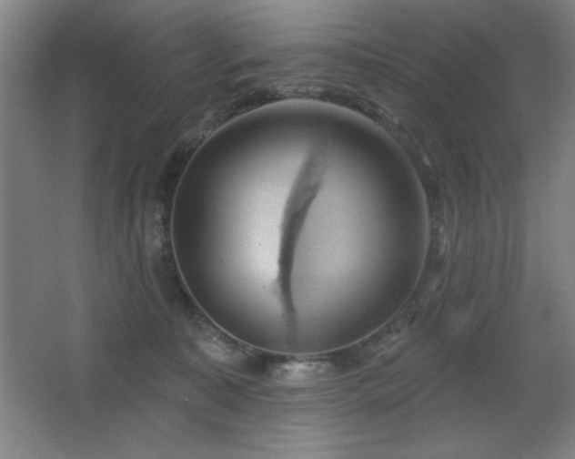 X0000068740323200604281146