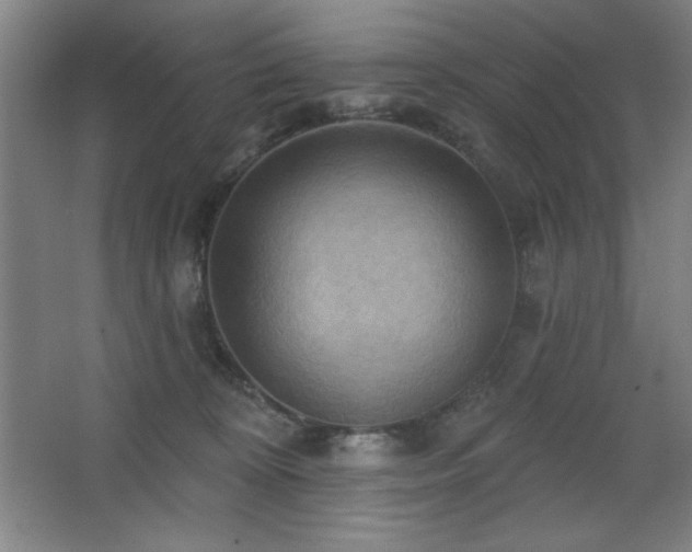 X0000068740324200604281146