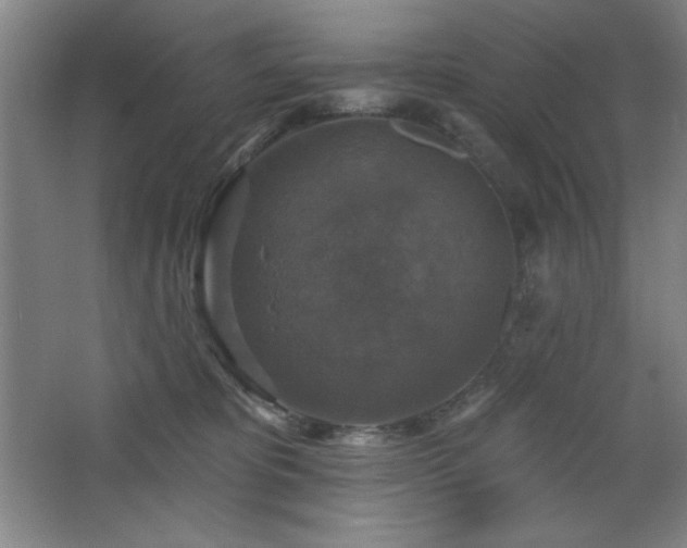 X0000068740325200604281146