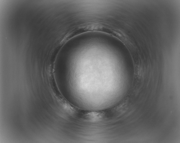 X0000068740326200604281146