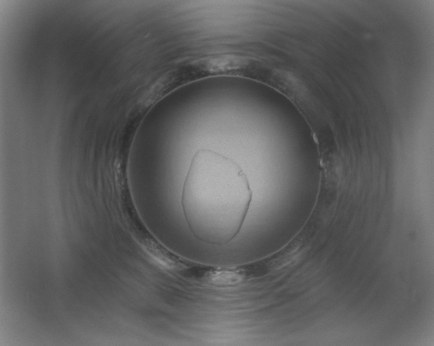 X0000068740327200604281146