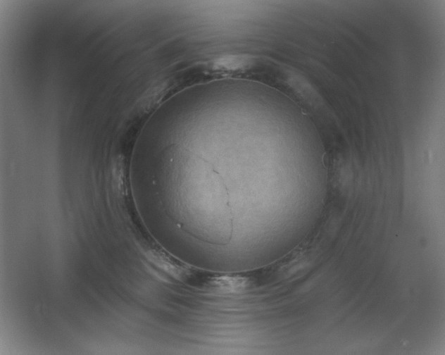 X0000068740328200604281146