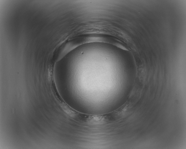 X0000068740329200604281146