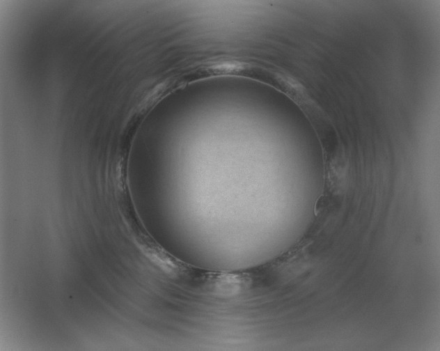 X0000068740330200604281146