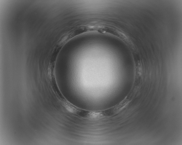 X0000068740333200604281146