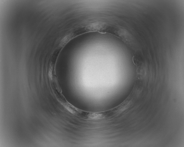 X0000068740334200604281146