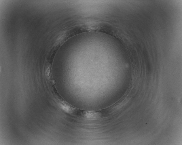 X0000068740336200604281146