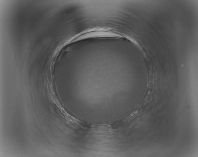 X0000068740337200604281145