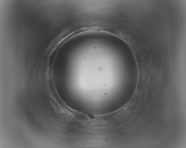 X0000068740338200604281145