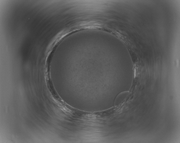 X0000068740339200604281145