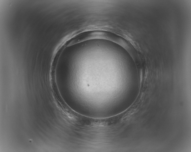 X0000068740340200604281145