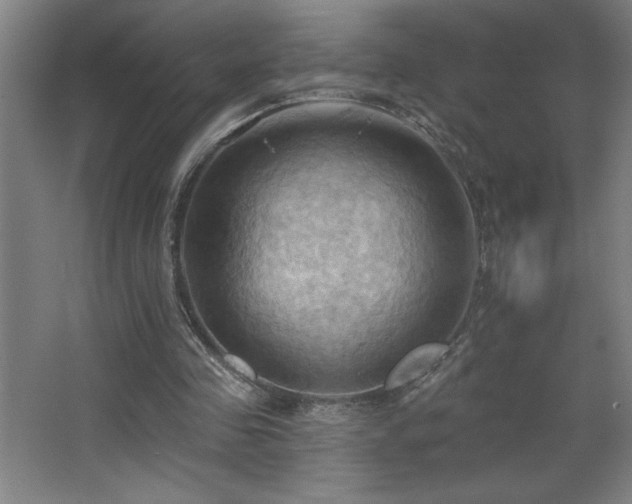 X0000068740341200604281145