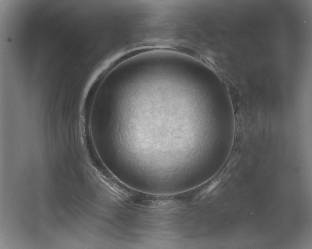 X0000068740342200604281145